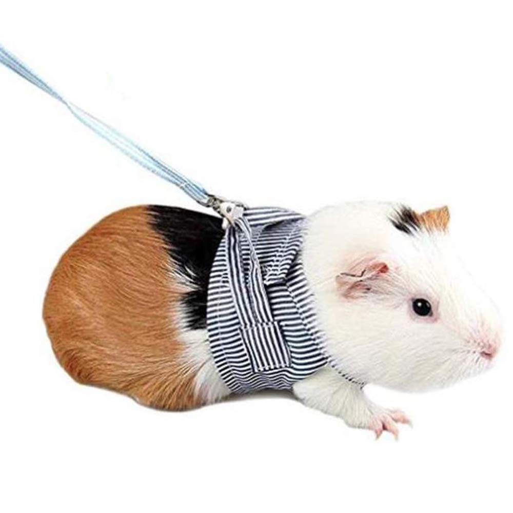 ゆず☆モルモット服 こどもサイズ3点おとなサイズ1点 ゆず☆モルモット服 こどもサイズ3点おとなサイズ1点 三英貿易